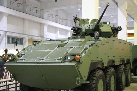 Clouded Leopard Mk44  30mm